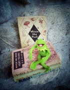 25th Sep 2020 - Kermit reads