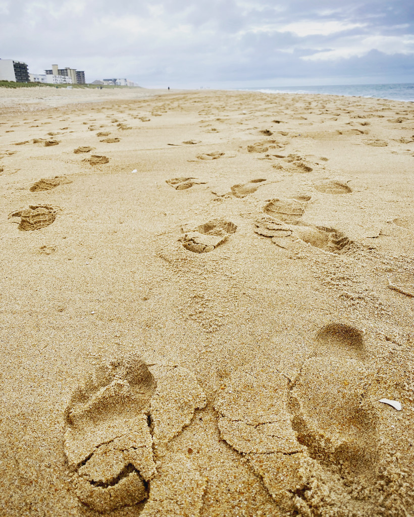 Footprints by lesip