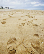 26th Sep 2020 - Footprints