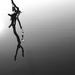 floating branch (sooc) by northy