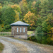 Fall colors are coming in at the Reservoir by batfish