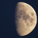 Moon by julienne1