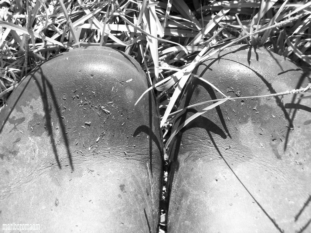 Muck boots wet with morning dew... by marlboromaam