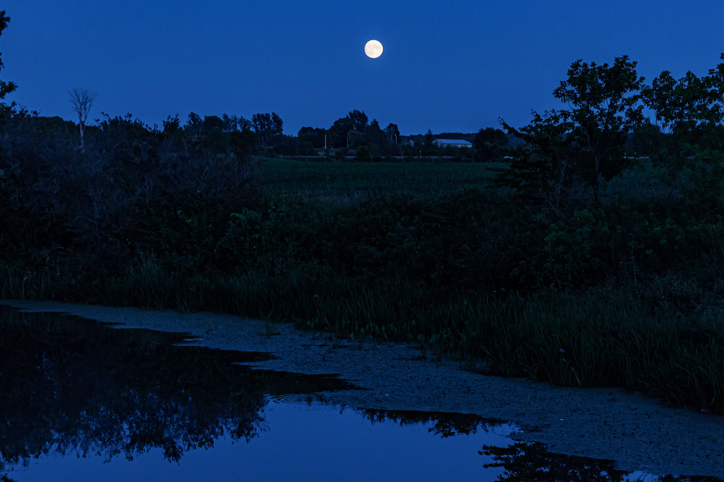 Blue Hour at the Creek by farmreporter