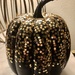 Starry Pumpkin  by lisaconrad