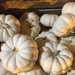 Casper pumpkins  by kchuk