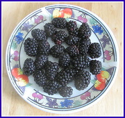 27th Sep 2020 - Blackberries