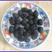 Blackberries by grace55