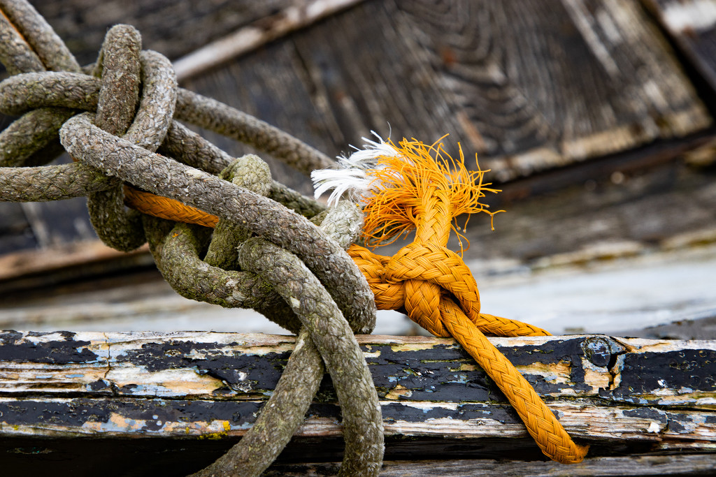 Tied up in Knots by lifeat60degrees