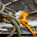 Tied up in Knots by lifeat60degrees