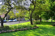24th Sep 2020 - Morning in the Park Along Grant Ave.