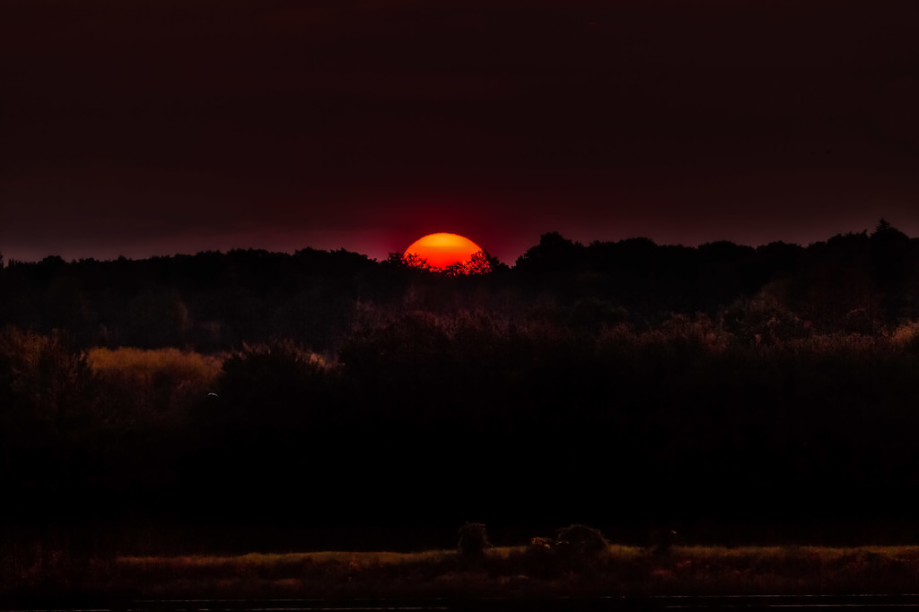 sunrise by adi314