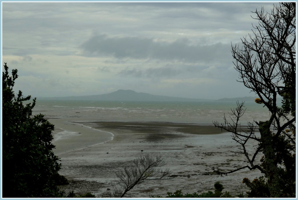 Rangitoto  by dide