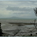 Rangitoto  by dide