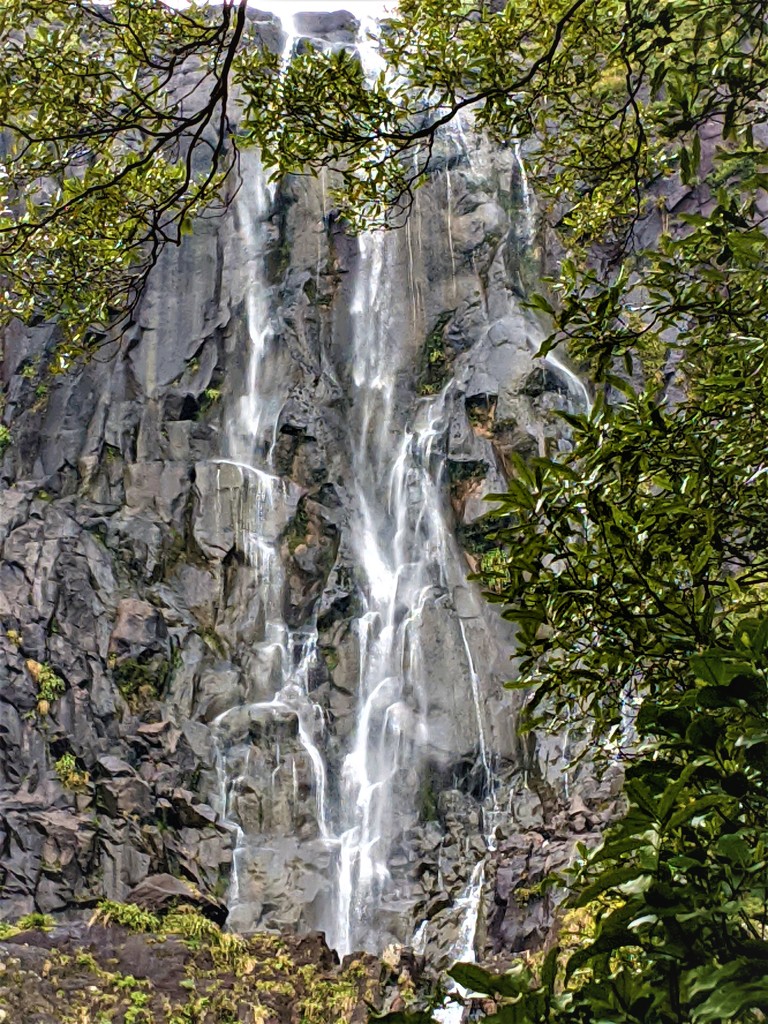 Wairere Falls by sandradavies