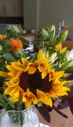 26th Sep 2020 - Sunflowers
