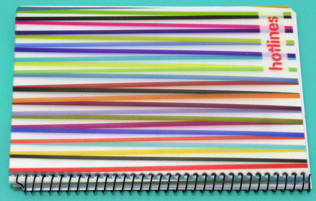 Striped Spiral Notebook by lilh