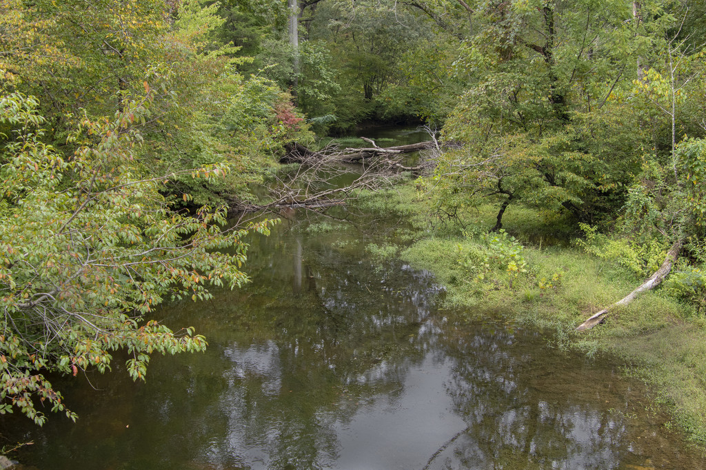 Potomac Creek by timerskine