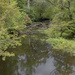 Potomac Creek by timerskine