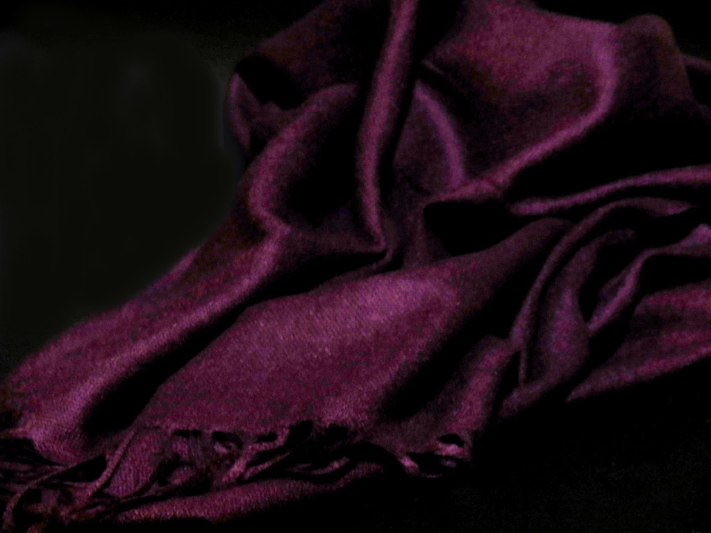 Purple Pashmina by grammyn