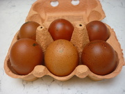 2nd Aug 2020 - Bantam Eggs 