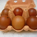 Bantam Eggs  by countrylassie