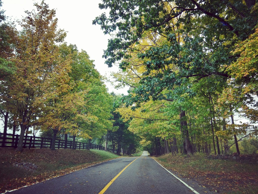 Fall Farm Favorite Back Road by alophoto