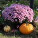 I'm in the mood for Fall by tunia