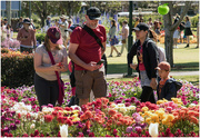 27th Sep 2020 - Toowoomba carnival of flowers 2020