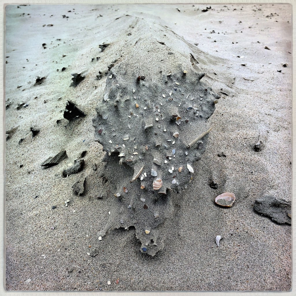 Beach dragon by mastermek