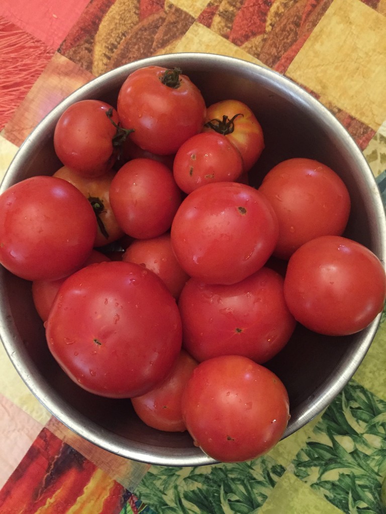 Bowl 'O Maters by margonaut