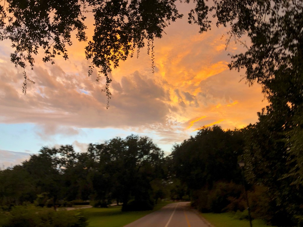 The road around Hampton Park at sunset by congaree