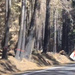 Slater Fire/Oregon-Cali border by pandorasecho