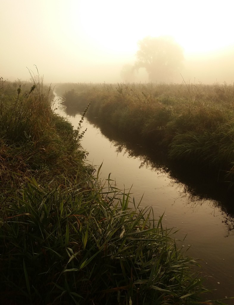 The magic of a misty morning. by kclaire