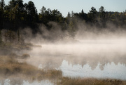 1st Oct 2020 - Foggy Morning