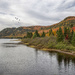 Fall Romance in Mont-Tremblant by pdulis
