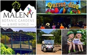 2nd Oct 2020 -  A Day Out to the Maleny Botanic Gardens & Bird World ~ 