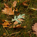 One Green Leaf by tdaug80