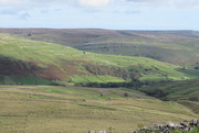 1st Oct 2020 - classic Swaledale