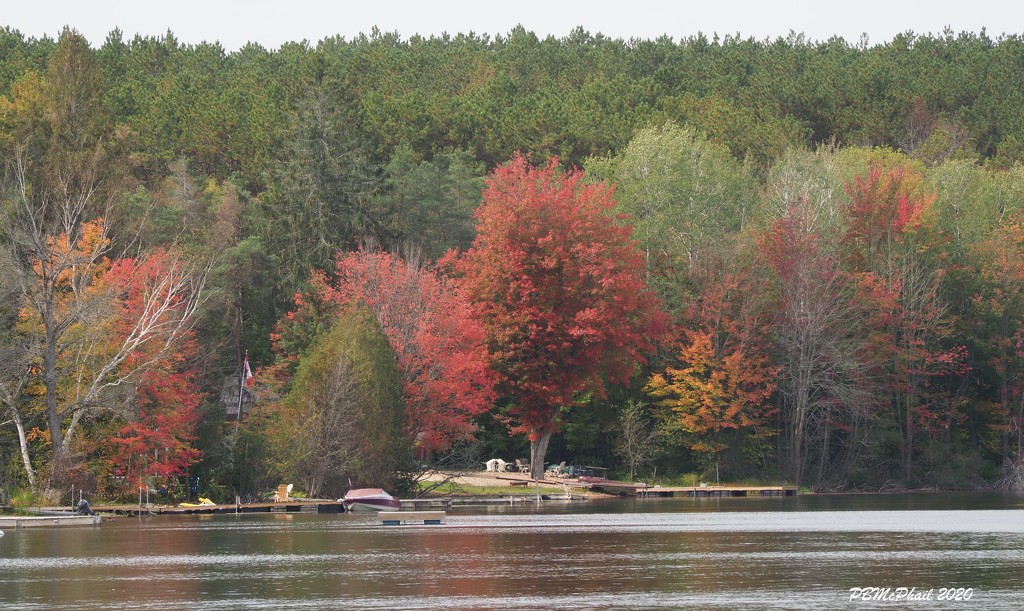 Fall Colours by selkie