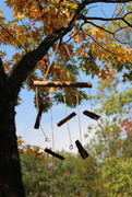 27th Sep 2020 - Wind Chimes