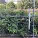 2020-10-02 Forgotten On A Fence by cityhillsandsea