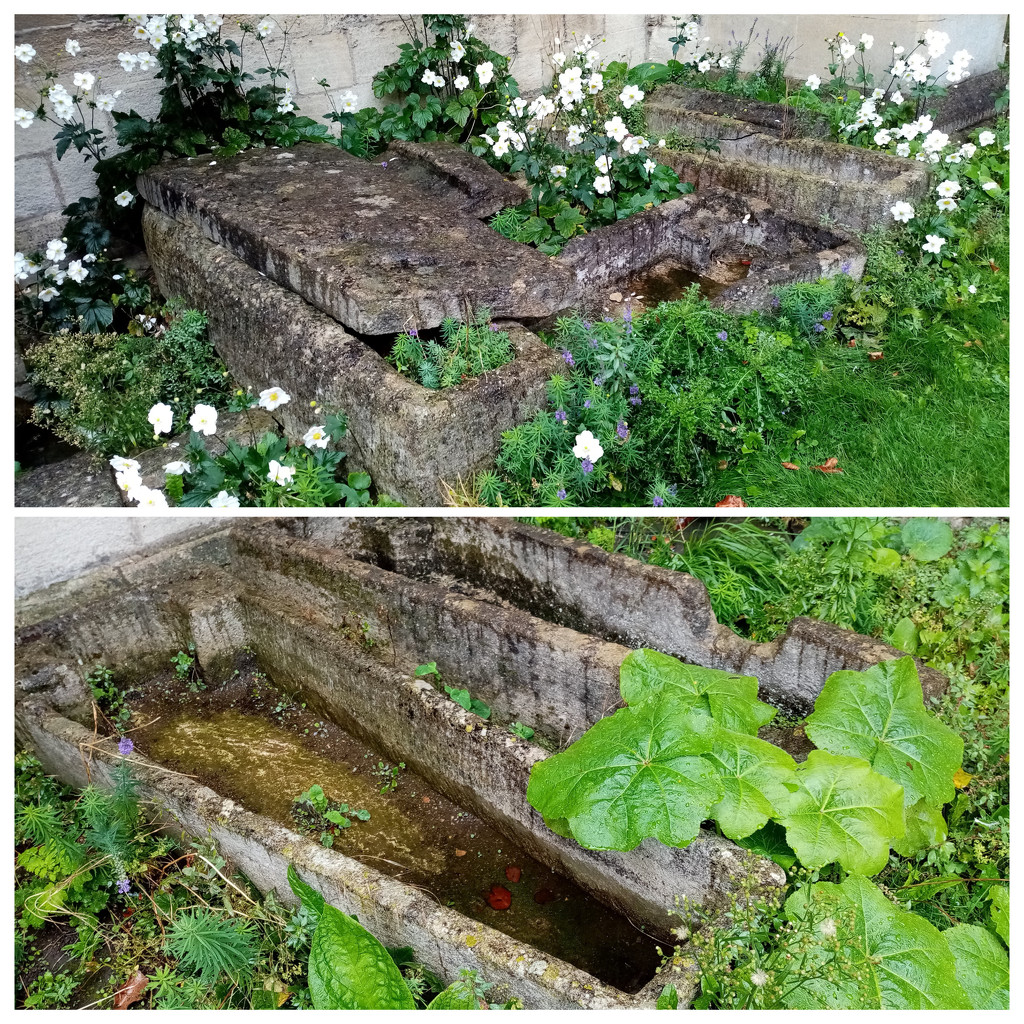 Forlorn 12th Century Monks’ Coffins by foxes37