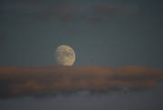 28th Sep 2020 - Moon on a Magic Cloud Carpet