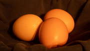 1st Oct 2020 - Eggs