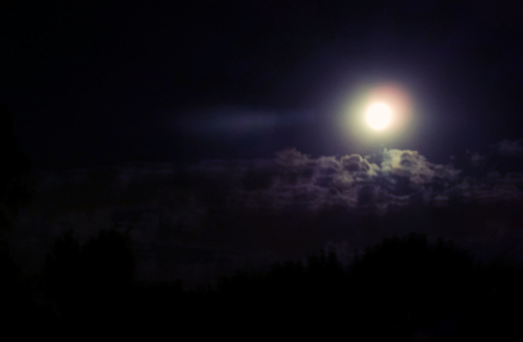 MoonLighting by linnypinny