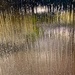 Rain  by 365projectdrewpdavies