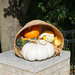 Fall basket by larrysphotos