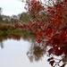 Fall2-Seney wildlife refuge by amyk