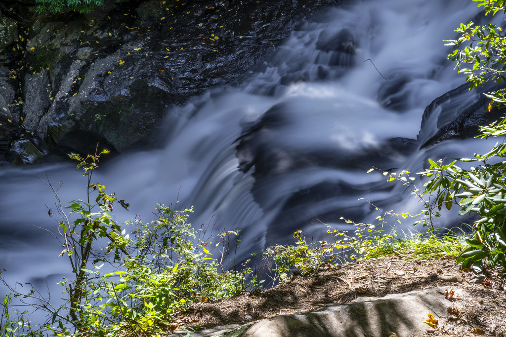 Waters Creek Falls by k9photo